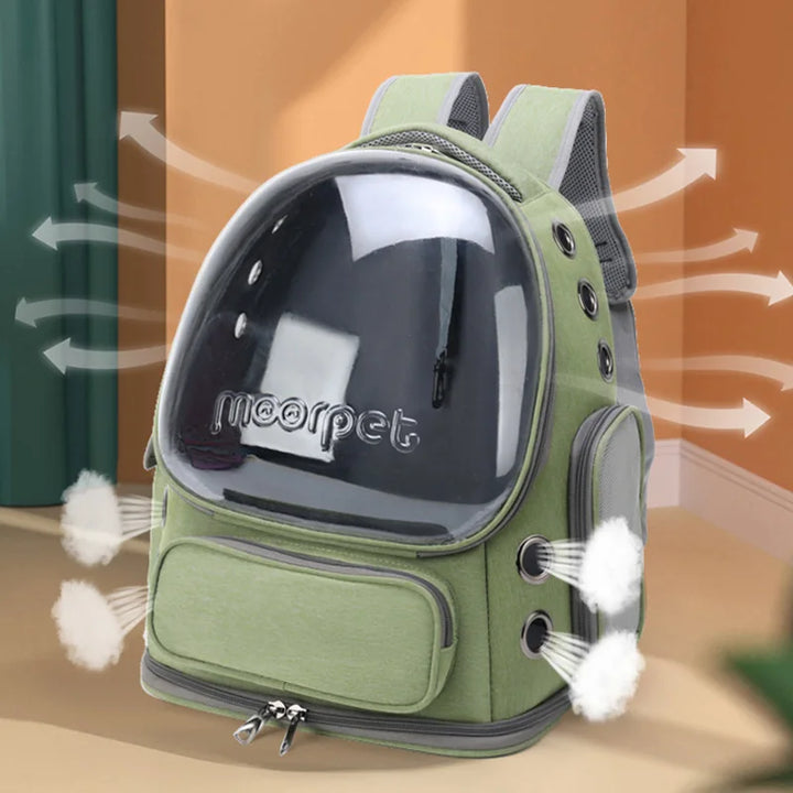 See-Through Pet Carrier Backpack