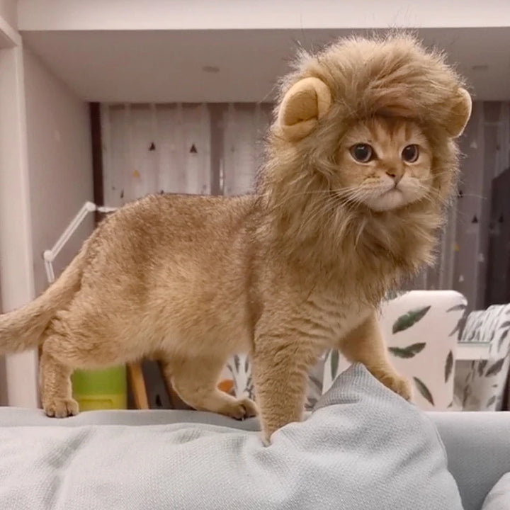 Majestic Lion Mane for Pets