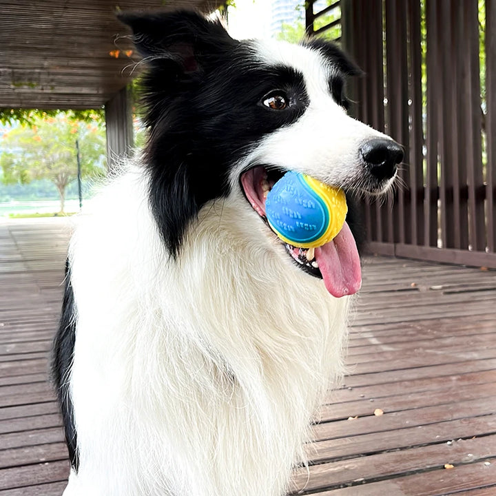 Soft and Durable Dog Ball - Fun and Dental Cleaning in One Toy!