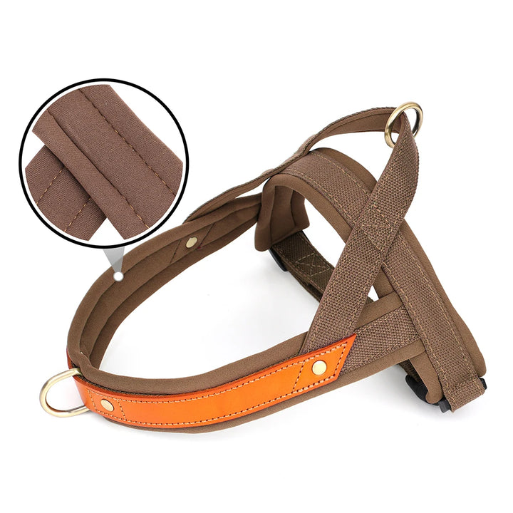 Didog Soft Padded No-Pull Dog Harness - Comfort and Control for Every Adventure!