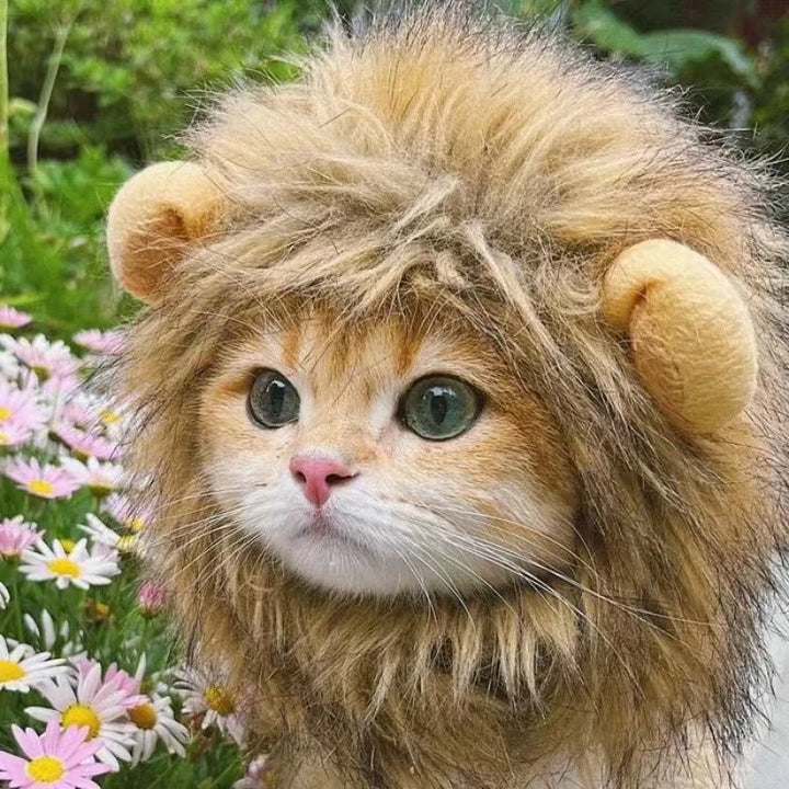 Majestic Lion Mane for Pets