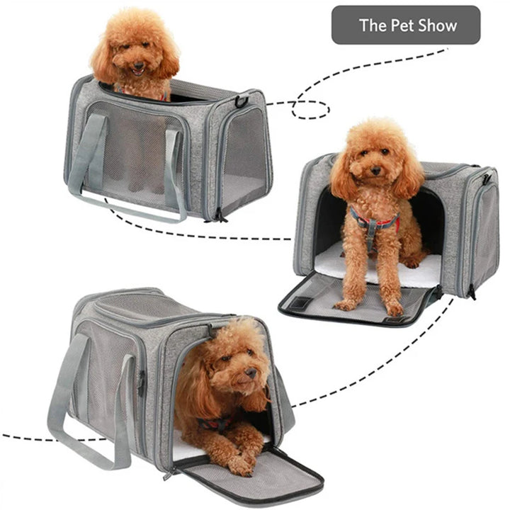 Pet Carrier Backpack with Anti-Scratch Mesh - Travel with your furry friend in comfort and safety!