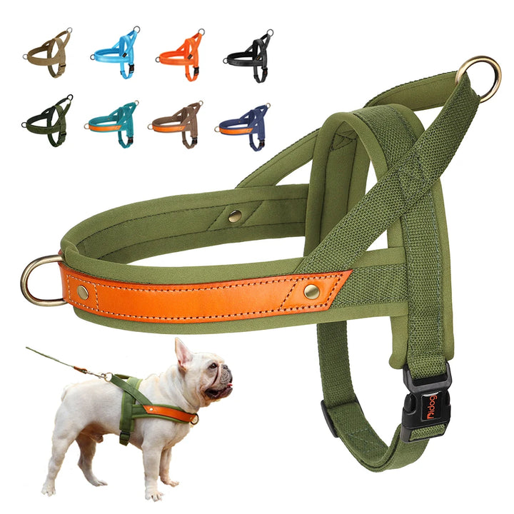 Didog Soft Padded No-Pull Dog Harness - Comfort and Control for Every Adventure!