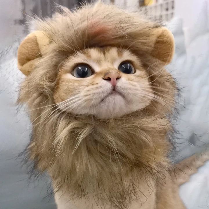 Majestic Lion Mane for Pets