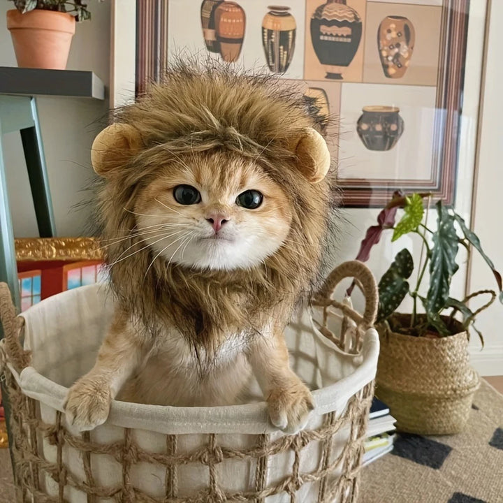 Majestic Lion Mane for Pets