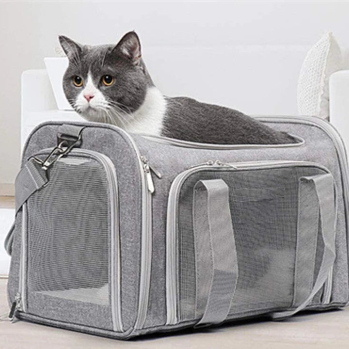 Pet Carrier Backpack with Anti-Scratch Mesh - Travel with your furry friend in comfort and safety!