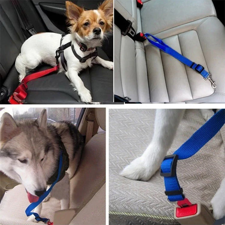 Dog Seat Belt for Car - Safe and Comfortable Travel for your Pet!