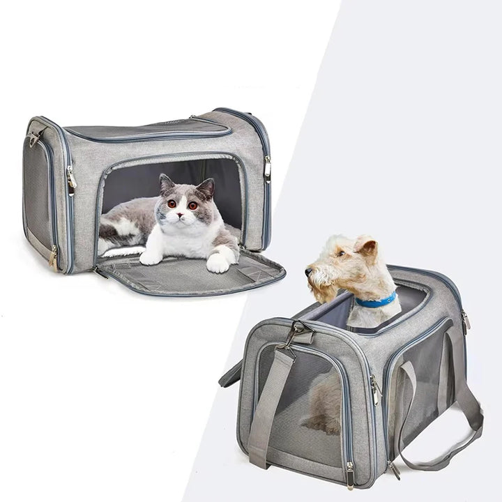 Pet Carrier Backpack with Anti-Scratch Mesh - Travel with your furry friend in comfort and safety!